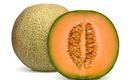 Melony uprawa i pielęgnacja