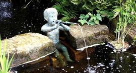 Woda w ogrodzie – życie w ogrodzie