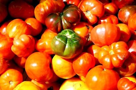 Choroby pomidorów 