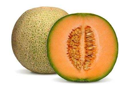 Melony uprawa i pielęgnacja