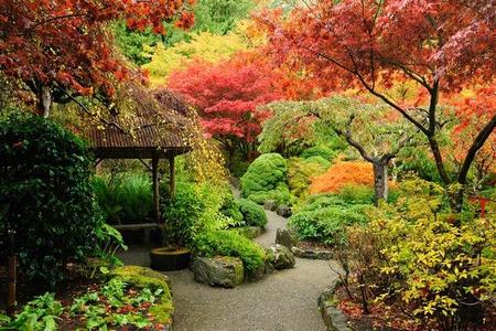 Jesień w ogrodzie - jesienne zdjęcia