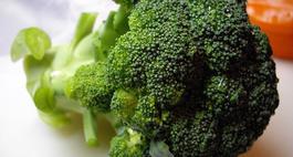 Uprawa  brokułów