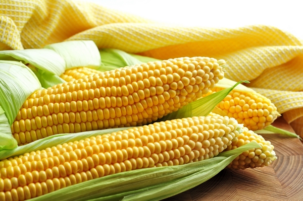 Kukurydza - wartości odżywcze,  właściwości i kalorie